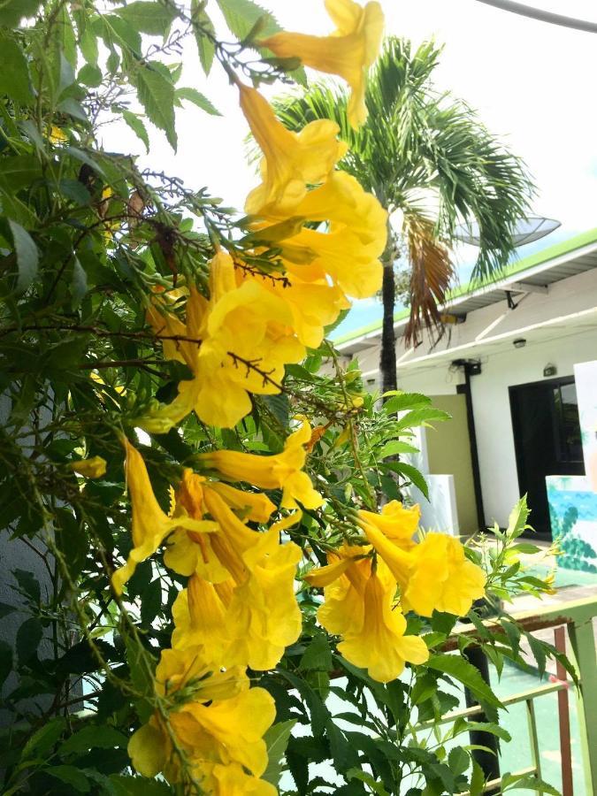 Rawai Whale Resort Bagian luar foto